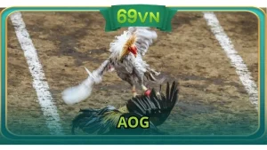 AOG