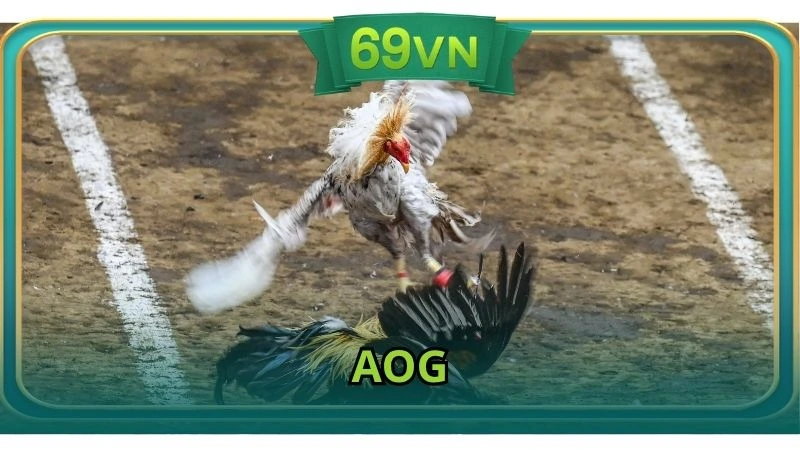 AOG