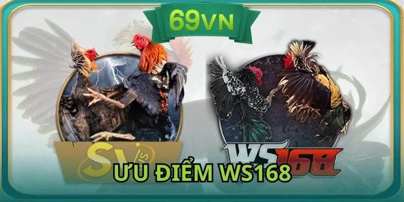 Đánh giá ưu điểm tạo nên sự hấp dẫn cho sảnh đấu kê