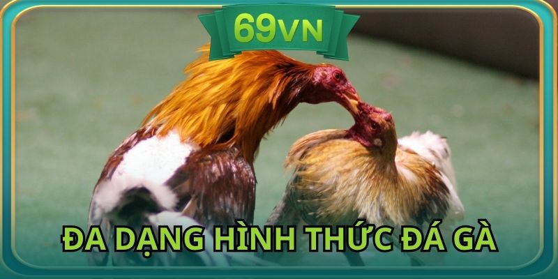Địa chỉ cung cấp đa dạng hình thức cho hội viên