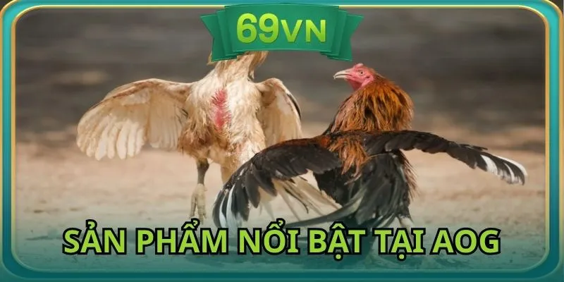 Điểm danh sản phẩm giải trí nổi bật tại nền tảng