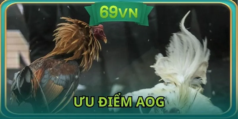 Ưu điểm giúp nhà cái AOG thu hút hội viên